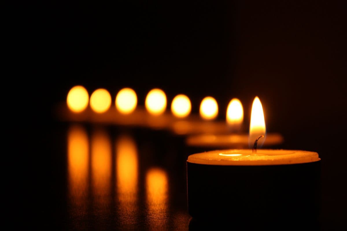 In loving memory